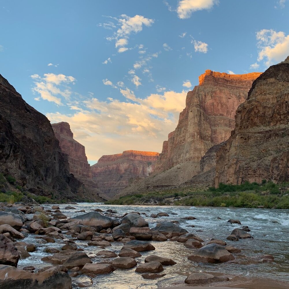 Meet your Posher, Carla